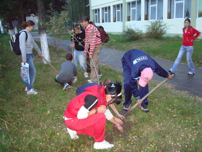 Acțiuni de plantare pomi