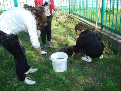 Înfrumusețăm spațiul verde